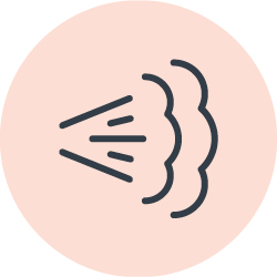 Fogging Disinfection Services Fogging Disinfection Services