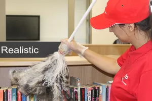 business facility cleaning