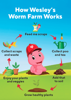 AMC's Sustainability programme for tamariki