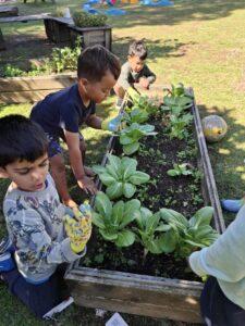 Childcare sustainability