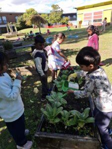 Childcare sustainability 3