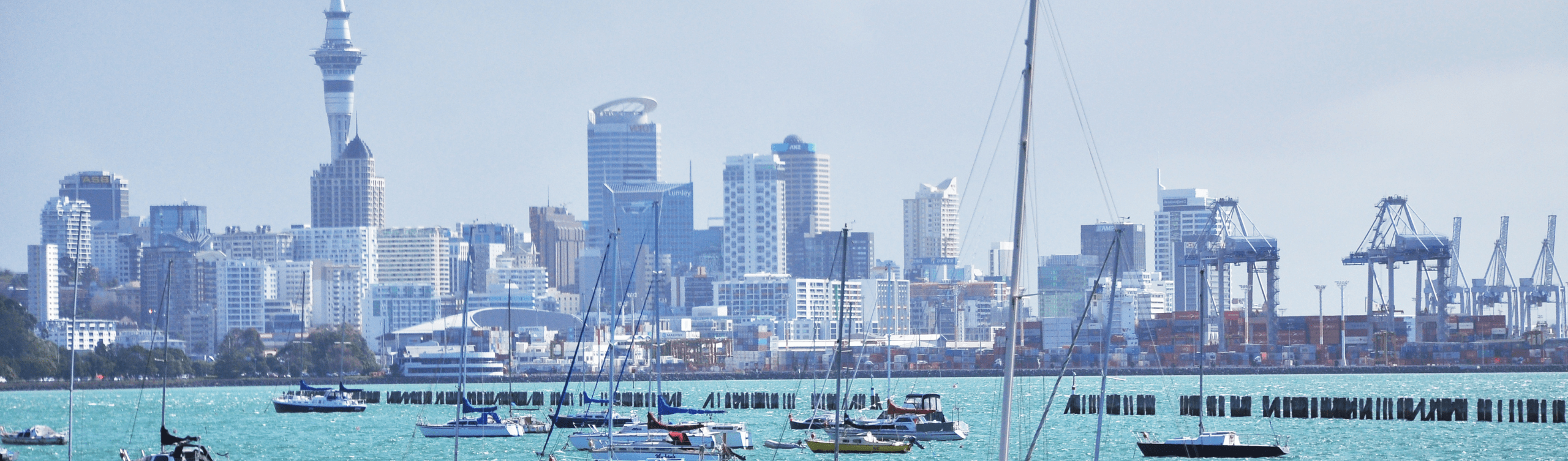 AMC commercial cleaning in North Auckland, NZ