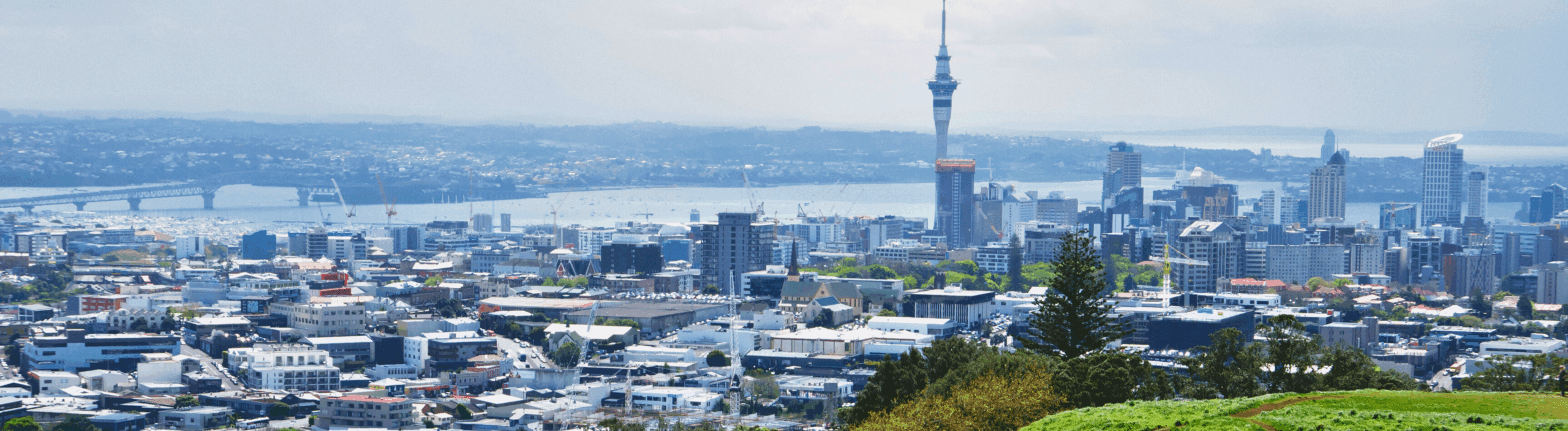 Business Cleaning NZ